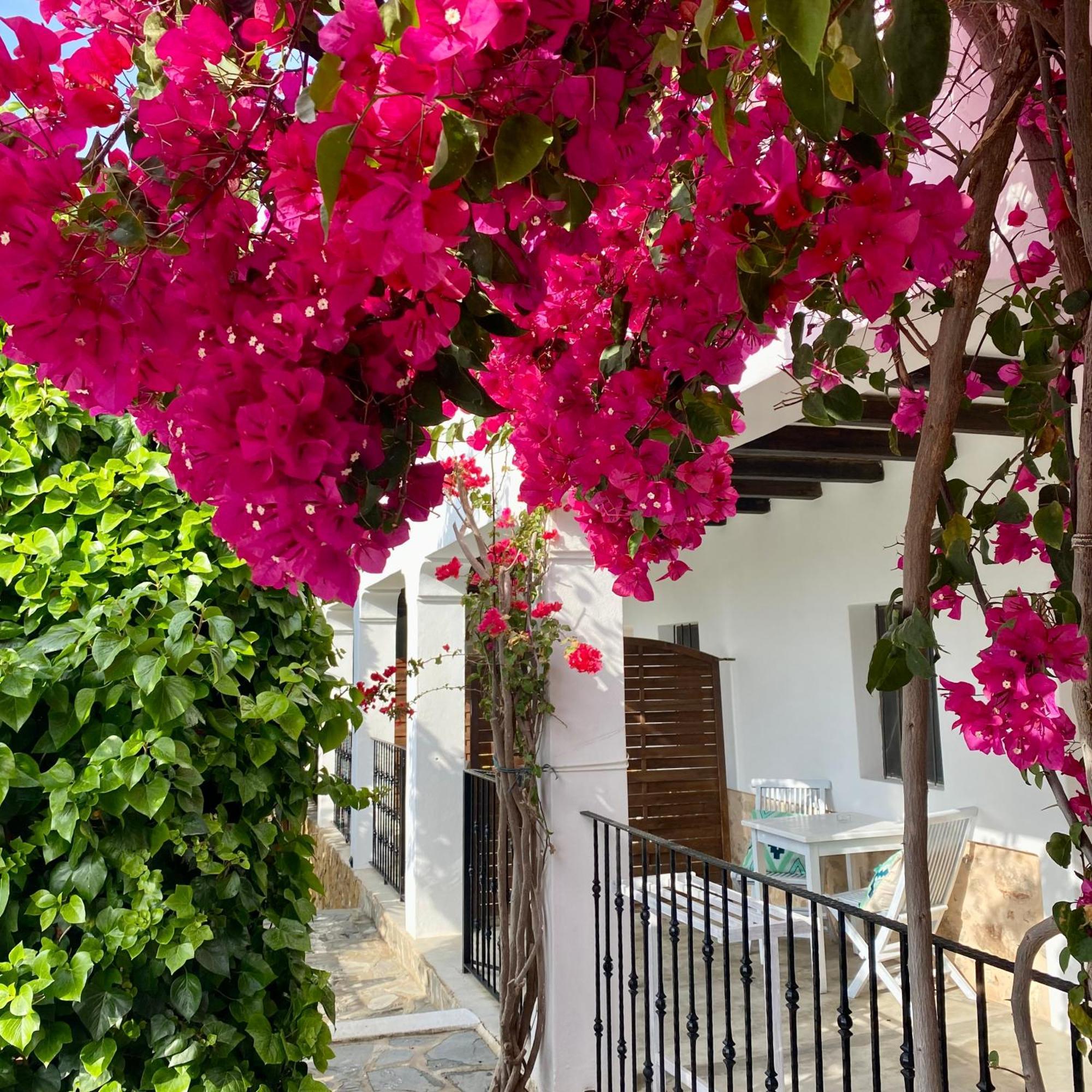 Buenavista Suites Hotel Boutique Santa Eulària des Riu Kültér fotó